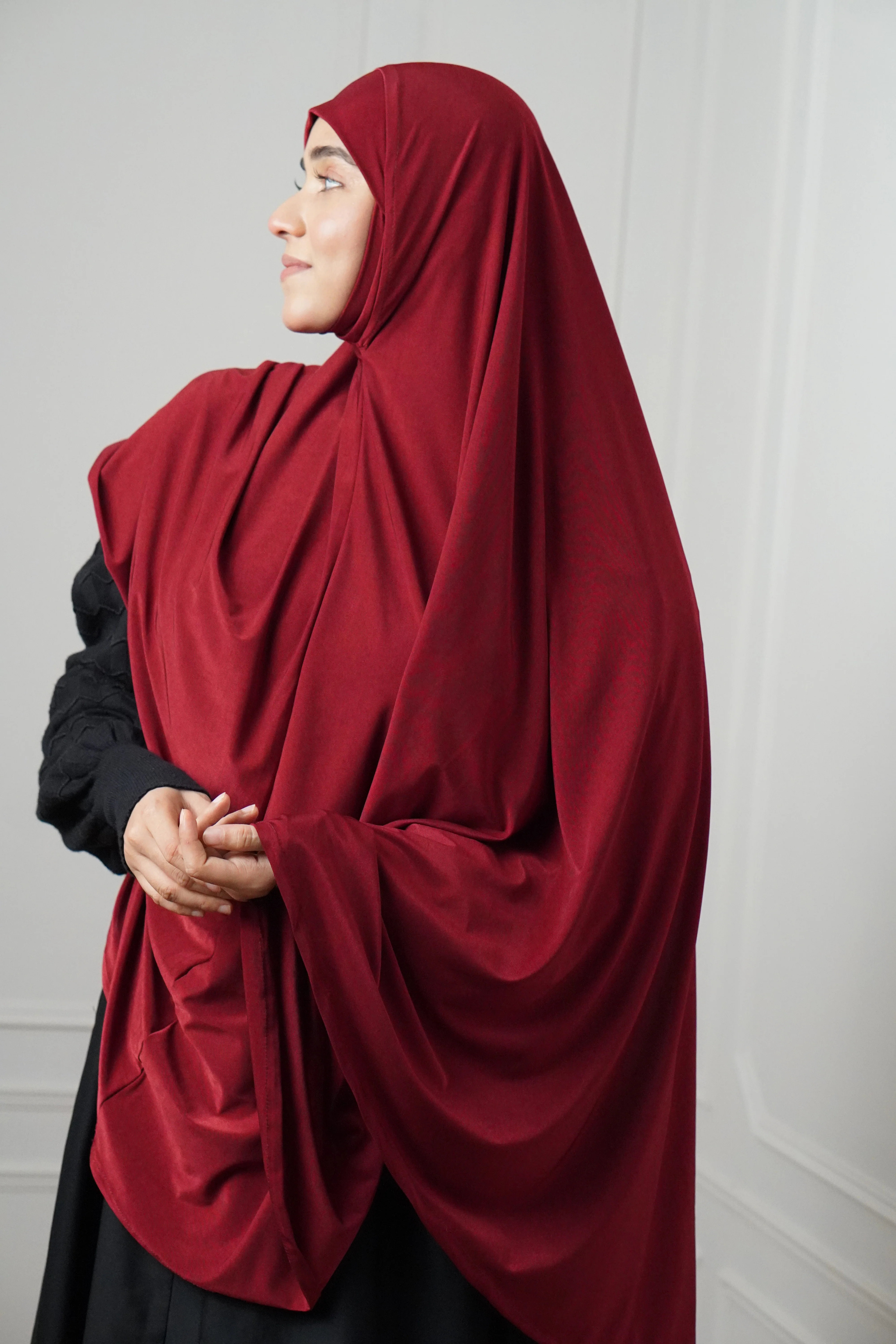 PLAIN MAKHNA - Image 4